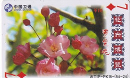 CHINA - Flowers, Playing Cards, China Satcom Prepaid Card Y10, Exp.date 20/09/08, Used - Bloemen