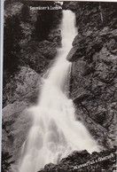 AK Obersee - Wasserfall - Niederösterreich (52505) - Lunz Am See