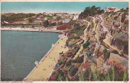 PAIGNTON - -GOODRINGTON -THE CLIFFS - Paignton