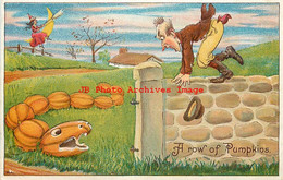 282439-Halloween, Julius Bien No 9803, A Row Of Pumpkins With JOL Snake Head, Frightened Man On Stone Wall - Halloween