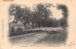 Delcampe - 93-LE-RAINCY-ETUDE DE PAYSAGE, SUR LA ROUTE DE MONTFERMEIL - Le Raincy