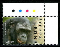 SIERRA LEONE** - Scimpanze' - 1 Val. MNH. - Chimpancés