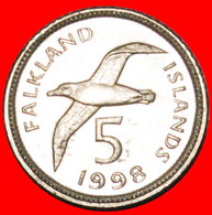 · ALBATROSS (1998-1999): FALKLAND ISLANDS ★ 5 PENCE 1998! LOW START★ NO RESERVE! - Falklandeilanden