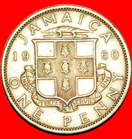 · GREAT BRITAIN (1953-1963): JAMAICA ★ 1 PENNY 1960! LOW START★ NO RESERVE! - Jamaica