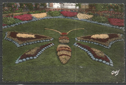 France - 1 CP De AVRANCHES - Jardin Des Plantes - Le Papillon - Sonstige & Ohne Zuordnung