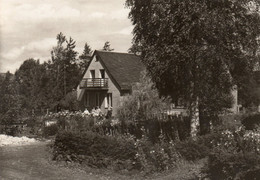 DC4850 - Ak Wüstendittersdorf Pensionshaus Sonnenblick - Schleiz