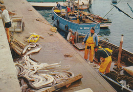 Delcampe - 29 - LE GUILVINEC - Retour De Pêche - Guilvinec