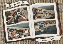 34 - CARNON PLAGE - Souvenir De Carnon Plage - Mauguio