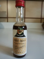 Fernet Brescia Liquore: Bottiglia Mignon Tappo Metallico. Distillerie Franciacorta Gussago Brescia - Alcoolici