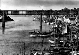 Douarnenez * Bâteaux De Pêche Au Port Rhu * Près Du Pont Viaduc Qui Relie Douarnenez à Tréboul - Douarnenez