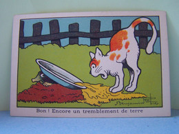 LES ILLUSTRATEURS. B. RABIER. FANTAISIE. LES CHATS.  100_0724GRT - Rabier, B.