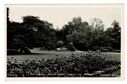 Ref 1420 - Real Photo Postcard - Avenue House Gardens - Church End Finchley - London - Middlesex