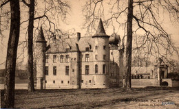 Hemiksem - Kasteel - Hemixem - Château De Cleydael - Hemiksem
