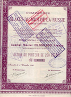Action Au Porteur De 250 Frcs - Cie Des Glaces Du Midi De La Russie  S.A. - Bruxelles 1925. - Rusland