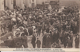 SAINT-MARTIN-DE-BEAUPRÉAU ARRIVÉE DES CLOCHES 25 MARS 1930 - ATTELAGES DEVANT L'ÉGLISE - LES 44 PAIRES DE BOEUFS - Otros Municipios