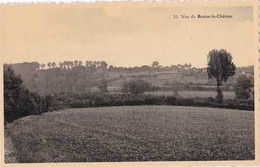 Braine-le-Château - Vue - Pas Circulé - TBE - Kasteelbrakel