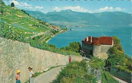 LE LAVAUX (LAC LÉMAN) LE CHÂTEAU DE GLÉROLLE Près RIVAZ. - Rivaz