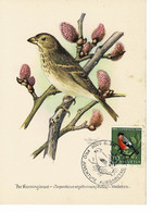 CARTE MAXIMUM OISEAUX 1968 - Maximumkarten (MC)