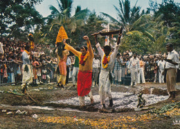 PS. Cpm 10x15. RELIGION. LA REUNION. Rite Tamoul : Le Cafre Et Son Ami Le Z' Oreil Marchant Sur Le Feu - Otros & Sin Clasificación