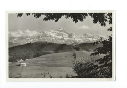 Säntiskette Ausblick V. Fuchsacker Bei Degersheim 1940 - Degersheim