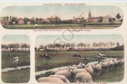 Postkaart-Carte Postale -LANKLAAR - Souvenir - Vrietselbeek (B963) - Dilsen-Stokkem