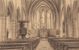 Postkaart-Carte Postale - DILSEN - Kerk (C18) - Dilsen-Stokkem