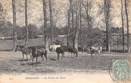 Ormesson        60       La Prairie Du Haras   - Chevaux -    (voir Scan) - Andere & Zonder Classificatie
