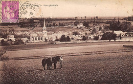 Parnes            60        Vue Générale            (voir Scan) - Sonstige & Ohne Zuordnung