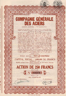 Action De 250 Frcs Au Porteur - Compagnie Générale Des Aciers S.A. - Thy-le-Château 1938. - Industry
