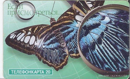 RUSSIA - BUTTERFLY - Bielorussia