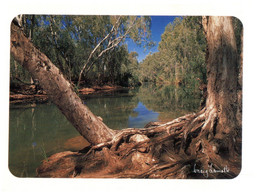 (V 15) Queensland Gregory River - Far North Queensland