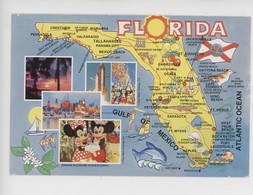 Etats Unis : FL Florida  Géographique (Walt Disney Orange Blossoms) - Other & Unclassified