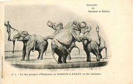 Cirque Circus * Souvenir De Barnum Et Bailey * Un Des Groupes D'éléphants En File Indienne * Dresseur Spectacle - Cirque