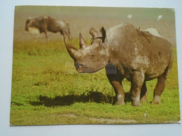 D175636 Black Rhinoceros Spitzmaulnashorn - Rhinoceros