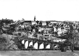 PIERRE-BUFFIERE - Vue Du Domaine Les Vignes - Viaduc - Voie Ferrée - Tirage D'éditeur N&B Non Dentelé - Pierre Buffiere