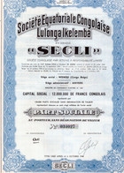 Part Sociale Au Porteur - Société Equatoriale Congolaise - Lulonga Ikelemba - SECLI - Wendji - Congo Belge 1949. - Africa