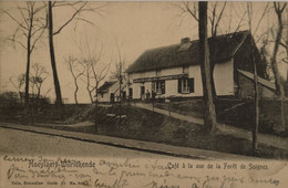Hoeilaart - Hoeylaert - Welriekende // Cafe A La Vue De La Foret De Soignies 1905 - Höilaart