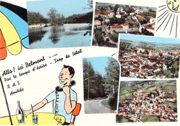 42 - Belmont De La Loire - Multivues - Belmont De La Loire