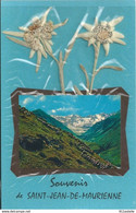 73   SAINT JEAN DE MAURIENNE , Souvenir  Fleurs   Edelweiss - Collezioni E Lotti