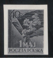 POLAND 1954 MAY LABOUR LABOR DAY BLACK PRINT PROOF NHM Flowers Flag Mayflowers - Proofs & Reprints