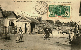 Sénégal  / Dakar / Rue De La Mosquée - Sénégal