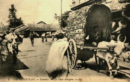 Asie / Ile De Ceylan / Colombo / Un Char Indigène - Sri Lanka (Ceylon)