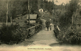 Asie / Ile De Ceylan / Nuivara Eluja - Sri Lanka (Ceylon)