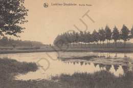 Postkaart-Carte Postale - LANKLAAR - STOKKEM - Vieille Meuse  (C6) - Dilsen-Stokkem