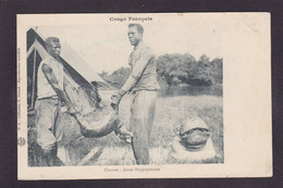 CPA Congo Chasse Hunt Hippopotame Non Circulé - Französisch-Kongo