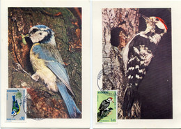 ANDORRE FRANCAIS CARTE MAXIMUM DES N°232 / 233 OISEAUX AVEC OBLITERATION 1er JOUR ANDORRE-LA-VIEILLE 27-10-1973 - Maximum Cards