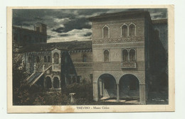 Delcampe - TREVISO - MUSEO CIVICO    - VIAGGIATA  FP - Treviso