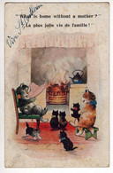 Animaux : Chats En Famille Au Coin Du Feu - Cats