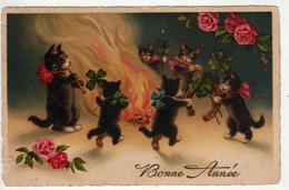 Animaux : Chats  Feu De Joie - Katten