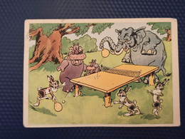 Bazhenov "Table Tennis Champions ". 1961 - USSR  - Ping Pong - Hippo - Elephant - Hippopotames